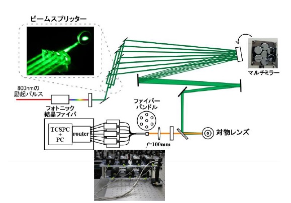 蛍光寿命の相関解析を可能とする多焦点共焦点顕微鏡装置の概略図