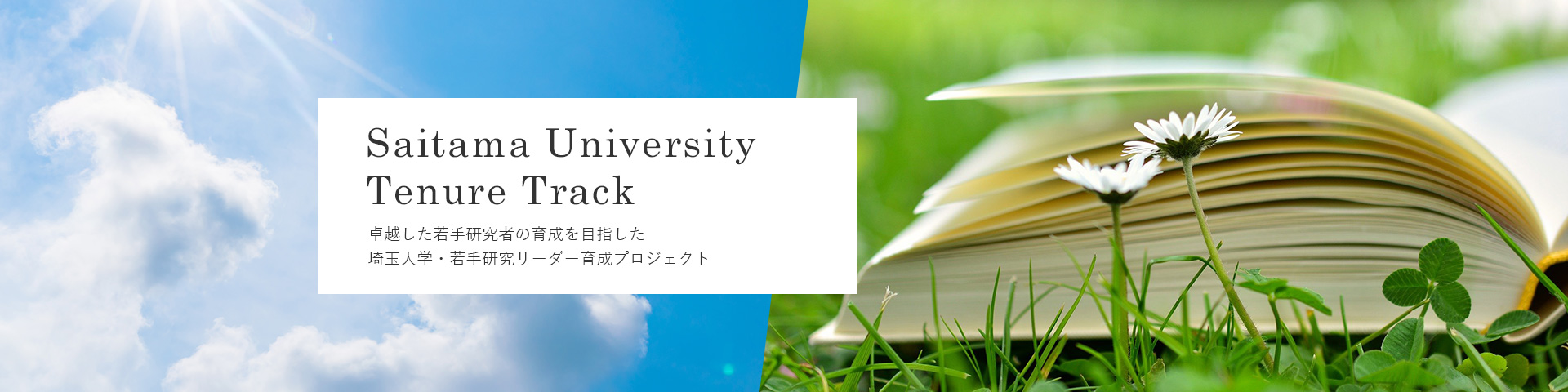 Saitama University Tenure Track 卓越した若手研究者の育成を目指した埼玉大学・若手研究リーダー育成プロジェクト